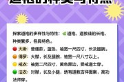 神仙道三国服的进入方法是什么？