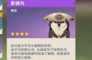 原神中小狗角色如何培养？小狗的培养策略有哪些？