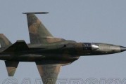 《GTAOL》游戏战斗机武器全面详细解析（炫酷战斗机武器）
