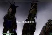 方舟手游官服斗龙的具体位置在哪里？如何快速找到？