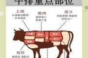 《以小森生活牛排，带你享受美味牛排的制作乐趣》（以游戏为主的牛排料理制作方法详解）