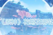 原神碎果残块在哪里？完整位置一览表是什么？