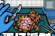 惹人注目的猫猫落水猫猫模拟器（体验虚拟世界中可爱猫咪的冒险与探索）