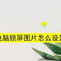 电脑待机壁纸怎么设置win11系统(3个操作步骤)