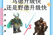 热血游戏中布德打怪升级的技巧有哪些？布德如何快速升级？
