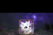 魔域灵猫好坏的判断标准是什么？