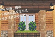 我的世界中窗子的设计技巧有哪些？
