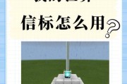我的世界中csm的使用方法是什么？