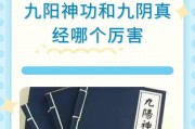 《九阴真经》（身临其境的武侠世界）