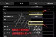 绝地求生中文设置在哪里？如何调整语言选项？