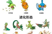 口袋妖怪水神兽捕捉方法有哪些？