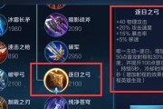 王者荣耀老鸨怎么玩？老鸨的技能如何搭配使用？