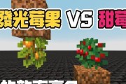我的世界中浆果点亮的技巧是什么？