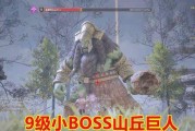 《神佑释放新35本boss打法技巧》（教你如何轻松击败35本新boss）