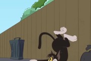 猫和老鼠黑猫对战布奇的策略是什么？如何有效对付布奇？