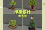 我的世界盆栽如何拆除？拆除盆栽的正确方法是什么？
