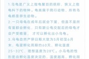 《我的世界》幼龟孵化方法？孵化幼龟需要什么条件？