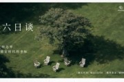《仲夏六日谈》第四季回归：对话 AI，回望人类