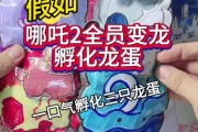 龙蛋孵化方法及注意事项有哪些？