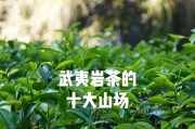 之江问道岩茶怎么样啊？岩茶的品质和特点是什么？