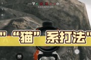 完美世界怪兽猫如何打出高伤害？有哪些技巧？