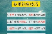 冰湖钓鱼游戏新手教学——掌握技能轻松钓获丰收（冰湖钓鱼游戏技巧分享）