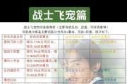 征途国土战士战斗技巧有哪些？如何有效攻击？