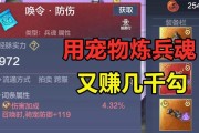 《妄想山海青云笛玩法详解》（探索青云笛技能效果）