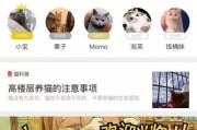 超级鱼人卡的获取途径有哪些？需要满足什么条件？