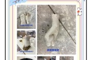 在Minecraft中制作石膏的正确方式是什么？