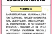 我的世界中香蕉种植方法是什么？