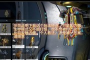 星际战甲紫卡倾向如何正确洗练？