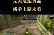 魔兽世界视角缩放插件使用方法是什么？如何提高游戏体验？