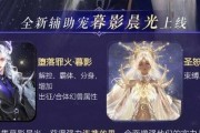 魔域二宠出征打法？二宠战斗策略有哪些？