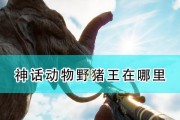 为什么在手游中找不到野猪图？