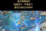 魔域中龙骑灵猫的最佳搭配数量是多少？搭配策略是什么？