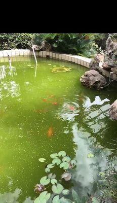 寻还手游鱼塘流攻略（开启寻还手游鱼塘流的冒险之旅）