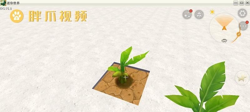 种树从入门到精通（一步一步学会如何栽种树苗）