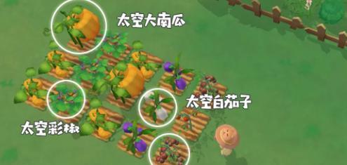 玩转摩尔庄园手游，轻松掌握投掷番茄技巧（通过掌握番茄投掷方法）