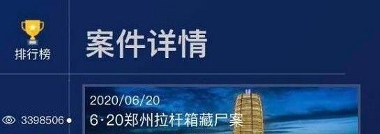 《瓦希诺德维寺坠崖案之追踪凶手》（探索真相的游戏引发的刺激冒险）