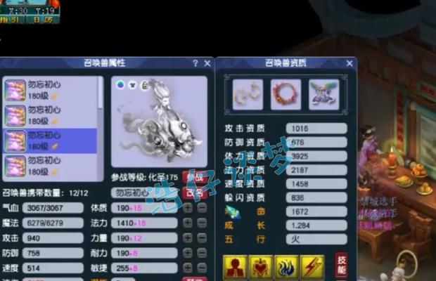 梦幻西游花果山耐攻宠物如何加点？最佳加点方案是什么？