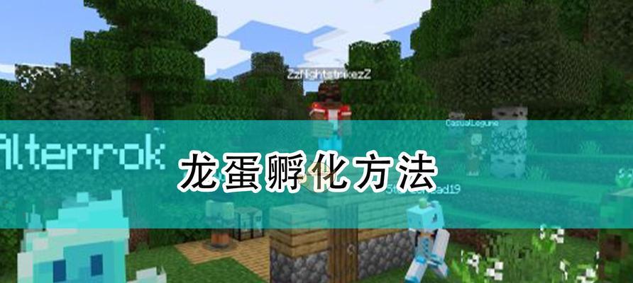 我的世界孵龙需要哪些步骤？