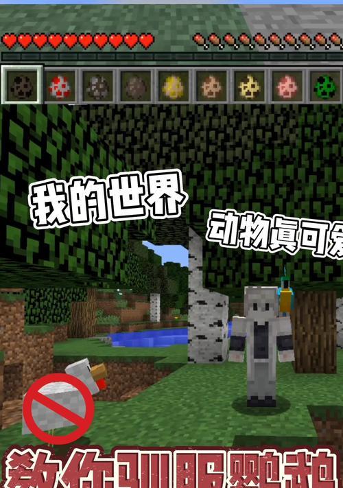 怎么训鹦鹉我的世界？鹦鹉训练有哪些技巧？