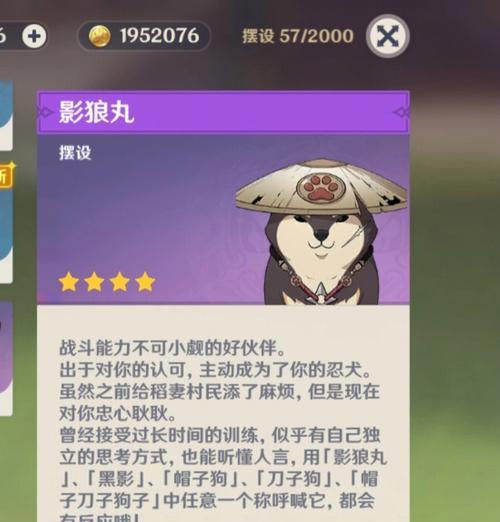 原神中小狗角色如何培养？小狗的培养策略有哪些？