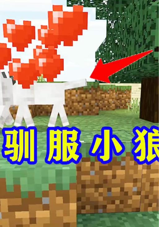 我的世界中如何养殖狼？养殖狼的正确方法是什么？