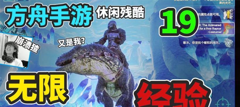 方舟手游官服斗龙的具体位置在哪里？如何快速找到？