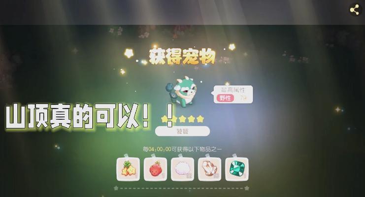 猎人捕捉稀有宠物的技巧和成功率如何？