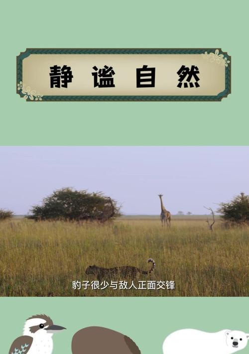 豹子学习潜行技能的方法是什么？