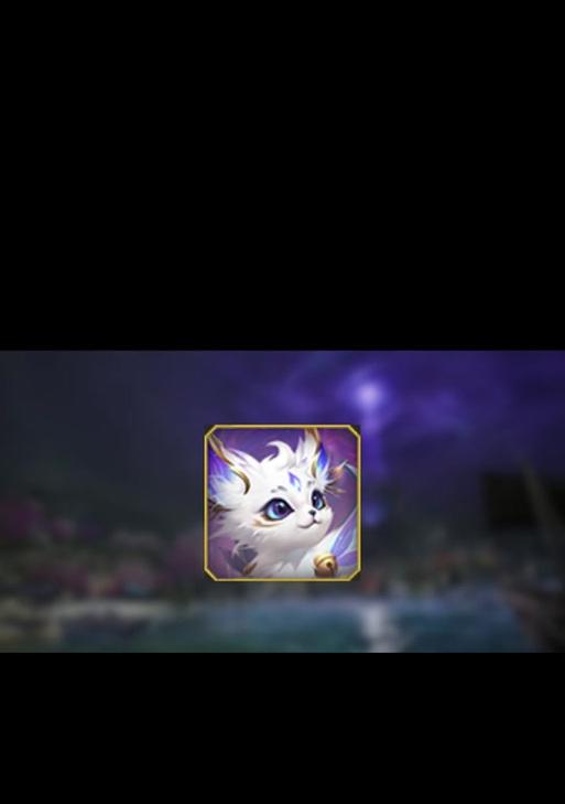 魔域灵猫好坏的判断标准是什么？