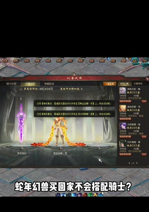 魔域灵猫好坏的判断标准是什么？